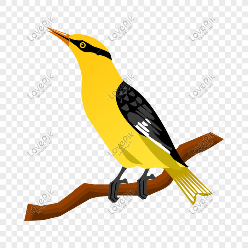 Hand Drawn Cartoon Yellow Bird PNG Image And Clipart Image For Free  Download - Lovepik | 611554488