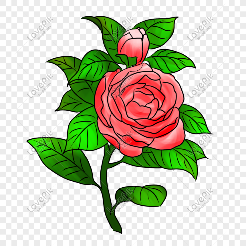 Gambar Bunga  Mawar  Merah Kartun 