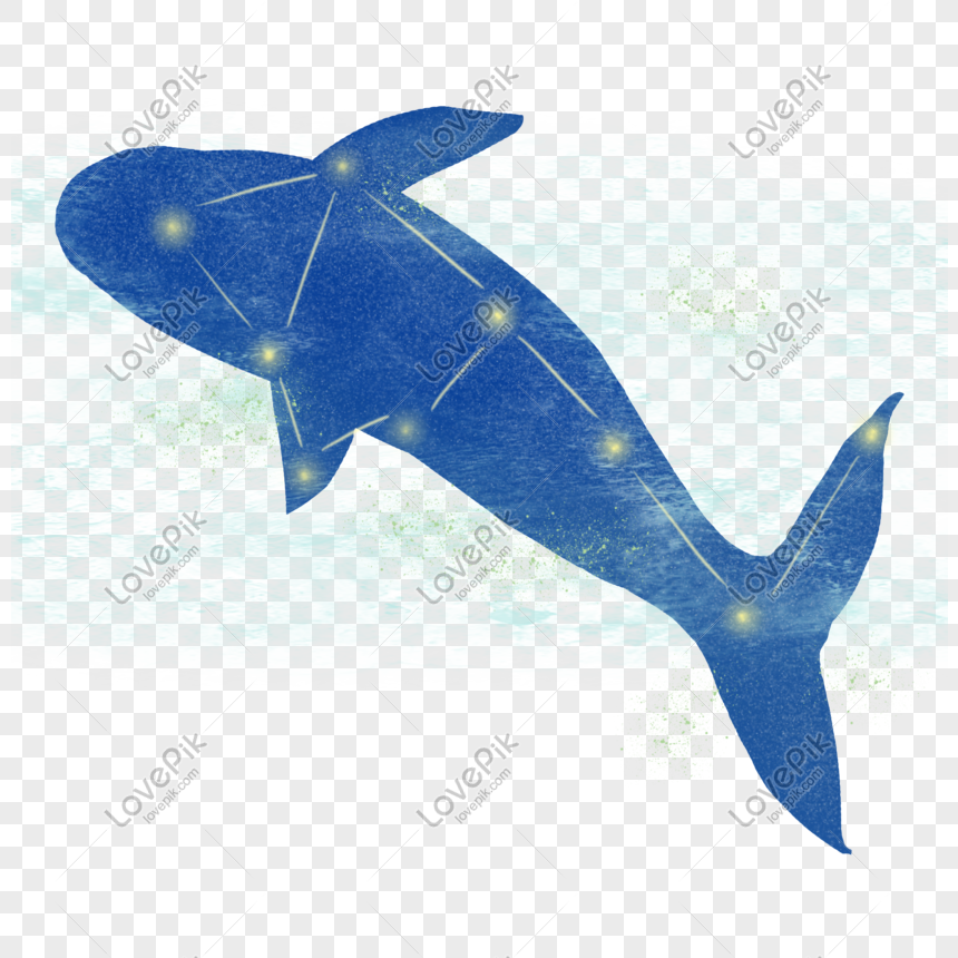 夢のクジラ手描きイラストイメージ グラフィックス Id Prf画像フォーマットpsd Jp Lovepik Com