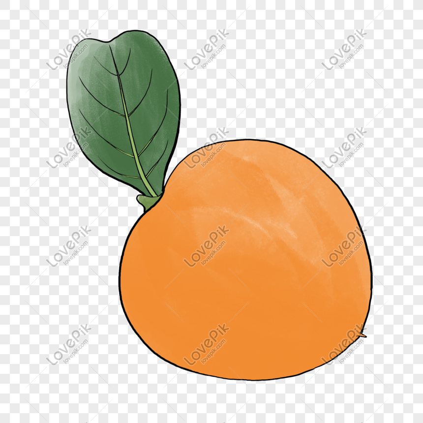 Vẽ tay màu nước quả cam: Với bộ phận ngón tay tài hoa của bạn, hãy tạo nên những tác phẩm đầy màu sắc và sáng tạo. Vẽ tay màu nước quả cam sẽ giúp bạn giải tỏa áp lực và thư giãn một cách tuyệt vời!