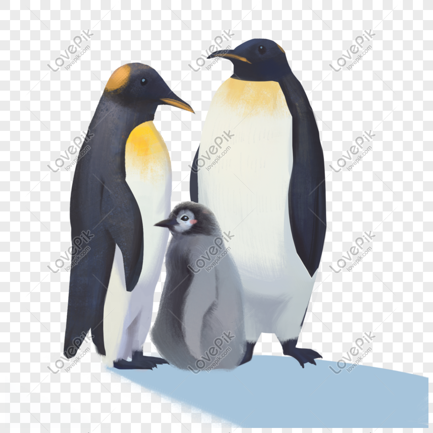 Keren 30 Gambar Binatang Kartun Penguin - Kumpulan Gambar Kartun