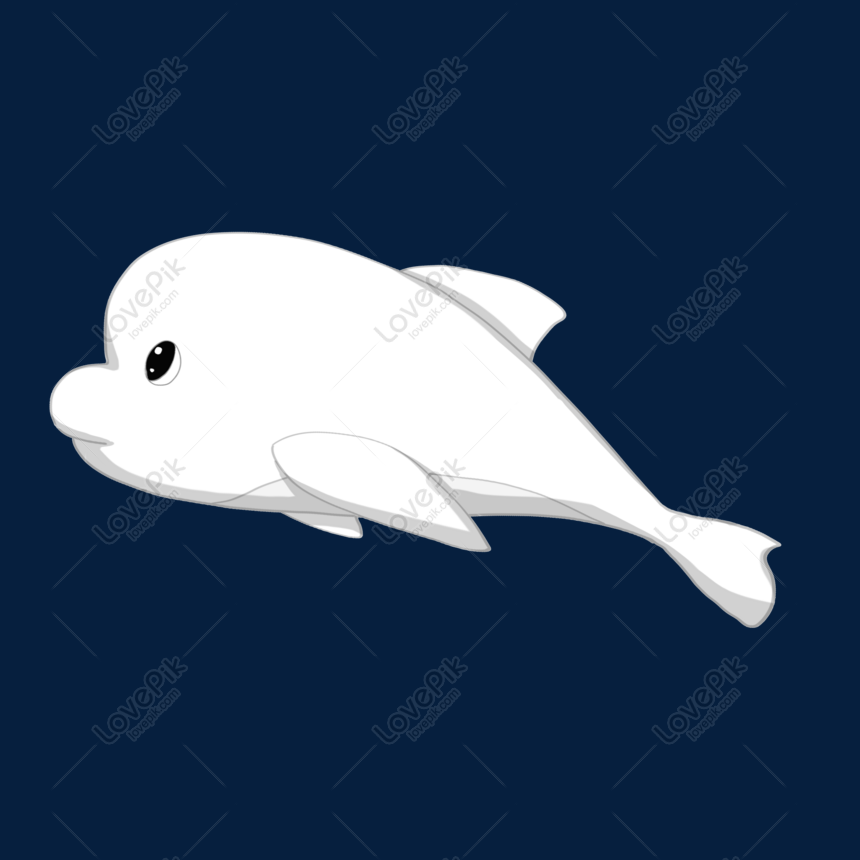 Animal De Mar Blanco Dibujado A Mano De Dibujos Animados PNG Imágenes  Gratis - Lovepik
