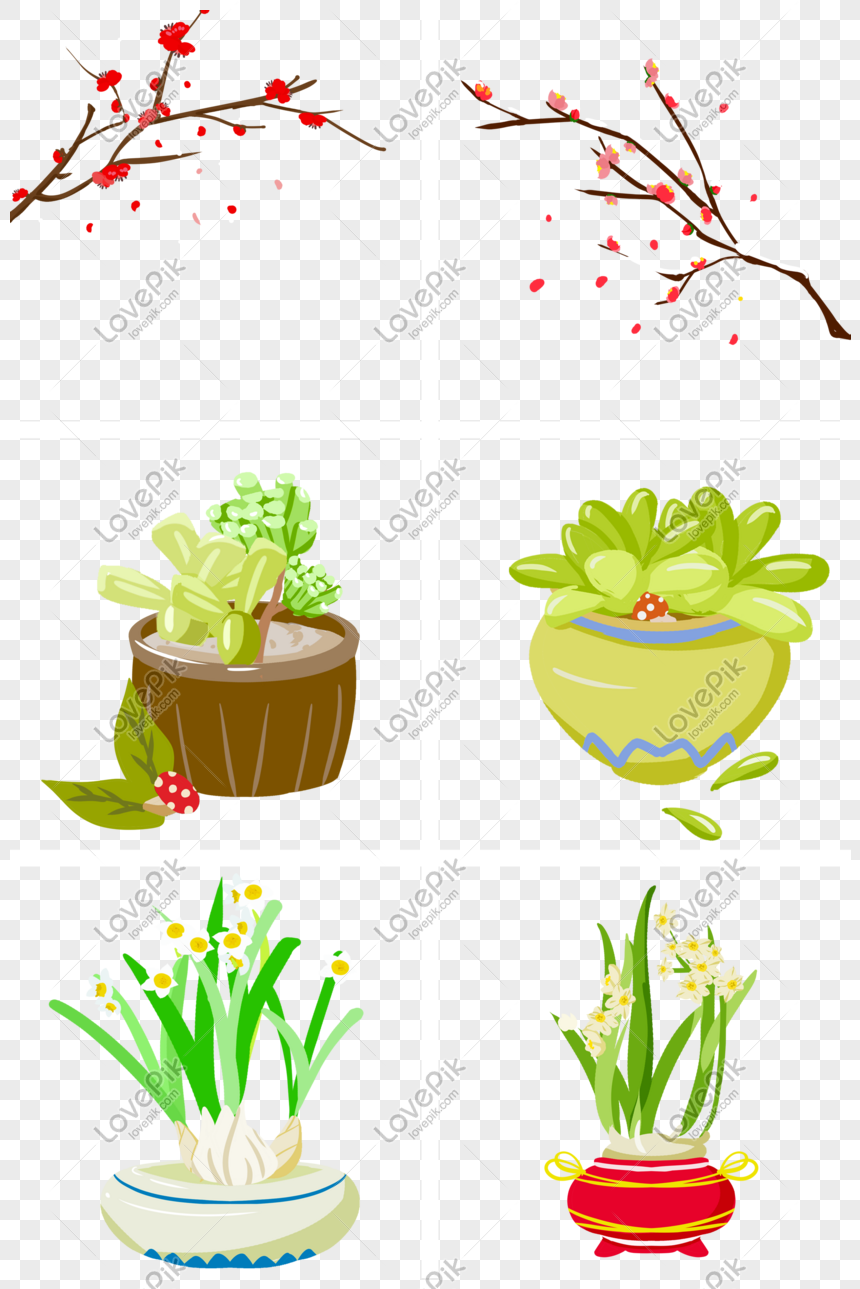 Ilustrasi Menarik Pot Bunga Kecil Gemuk Berdaging Png Grafik