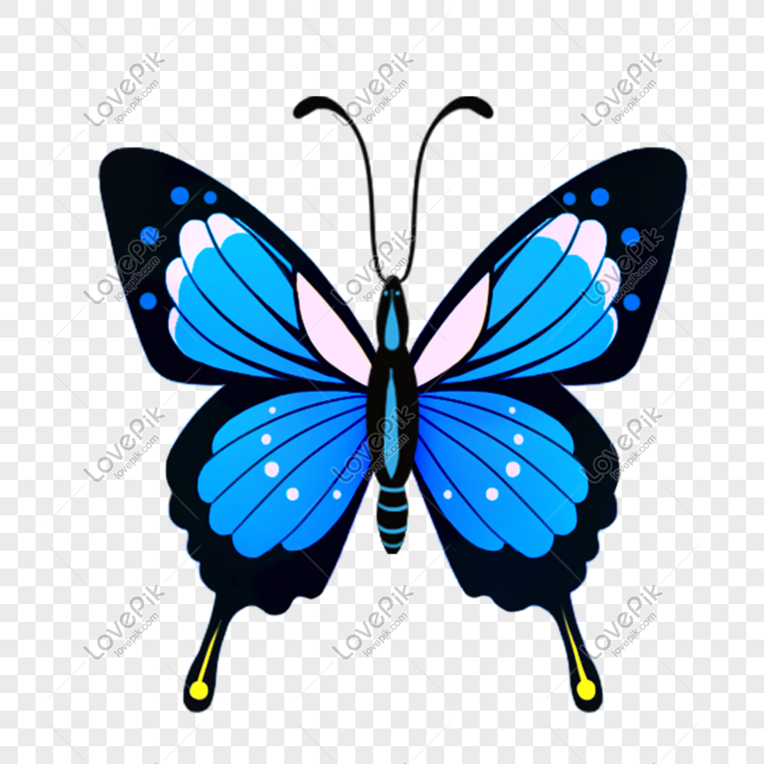 Butterfly PNG Images With Transparent Background | Free Download On Lovepik