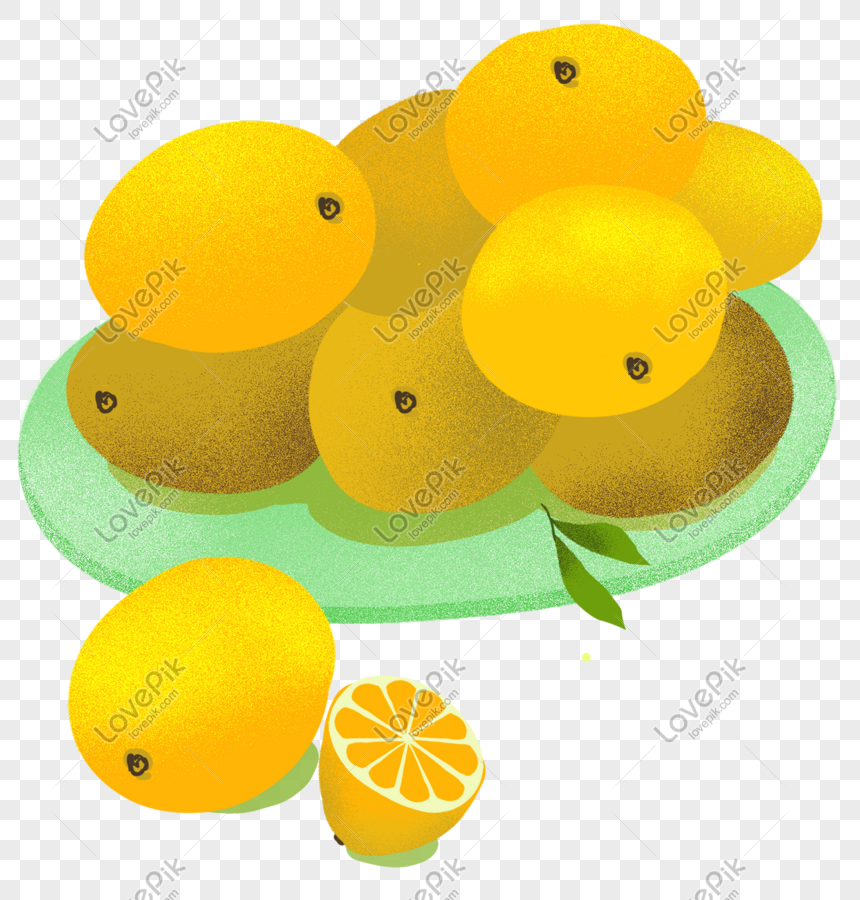 Lezzetli Meyve Limon Portakal Cizimi Resim Grafik Numarasi