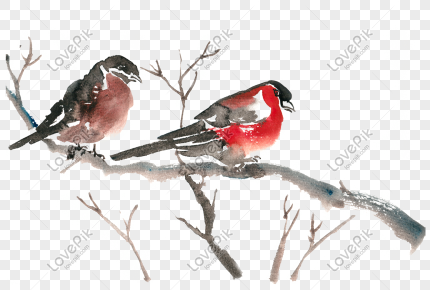 2羽の鳥の水彩画pngフリー素材イメージ グラフィックス Id Prf画像フォーマットpsd Jp Lovepik Com