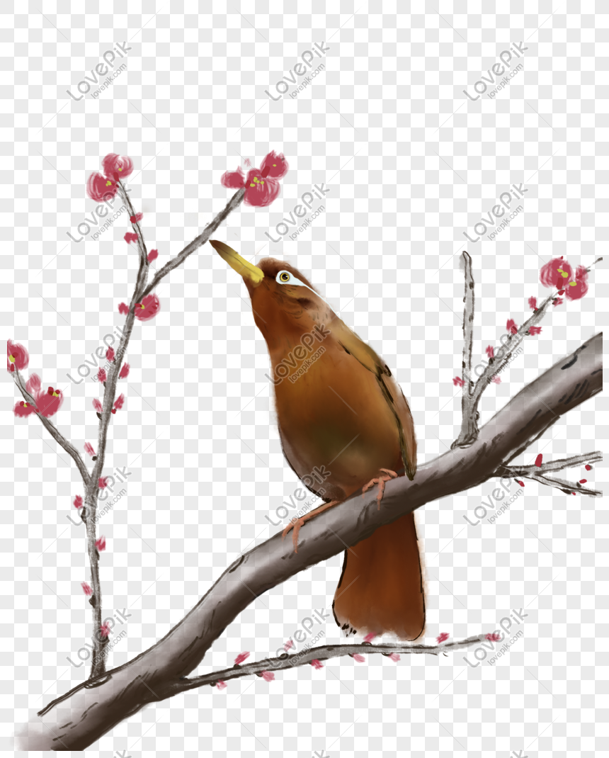 手描きのmeticula 桃 鳥のイラストイメージ グラフィックス Id
