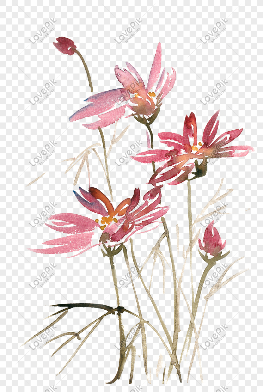 エレガントな花の水彩画pngフリー素材イメージ グラフィックス Id Prf画像フォーマットpsd Jp Lovepik Com