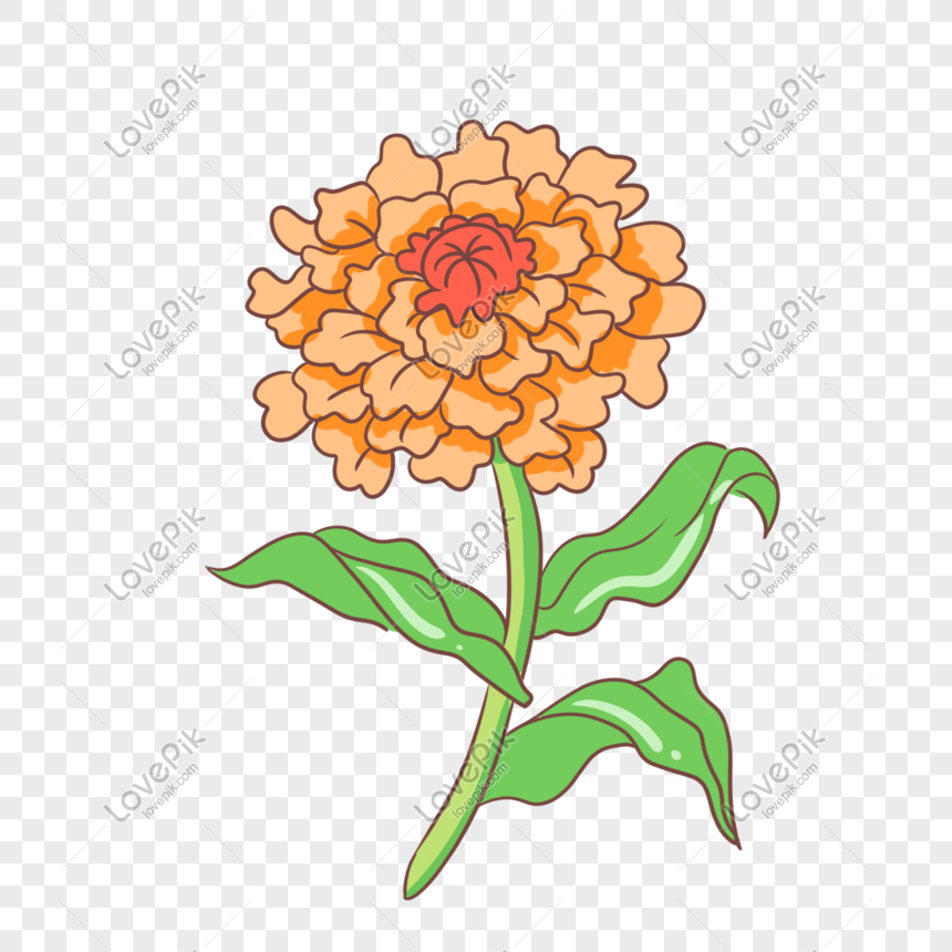 Flores Amarillas Ilustración Floral PNG Imágenes Gratis - Lovepik