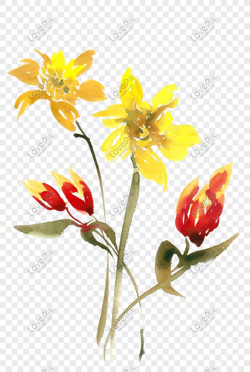 yellow flower watercolor png free material png image picture free download 611622343 lovepik com yellow flower watercolor png free