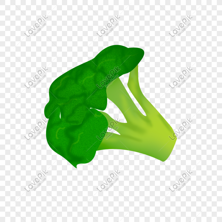 Hand Drawn Vegetable Cauliflower Illustration PNG Picture And Clipart Image  For Free Download - Lovepik | 611624435