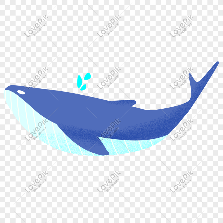 Tải + Download hình nền Cá voi - Whale 4k Ultra full hd