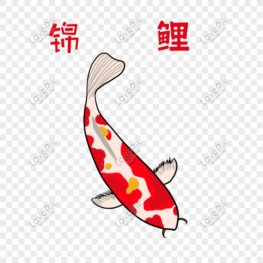 手描き動物鯉イラストイメージ グラフィックス Id Prf画像フォーマットpsd Jp Lovepik Com