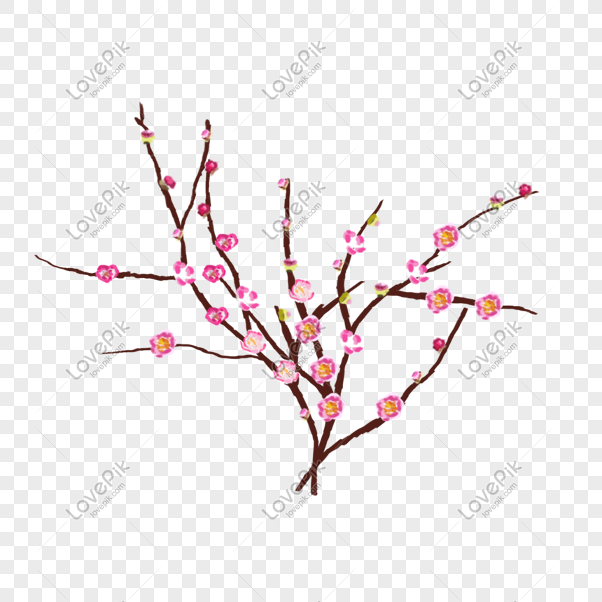 Dibujado A Mano Arreglo Floral Festivo Flor Seca Sakura Flor PNG Imágenes  Gratis - Lovepik