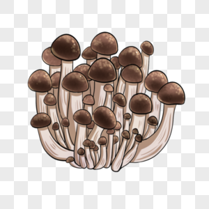 Ilustrasi sayuran jamur kepiting yang ditarik png