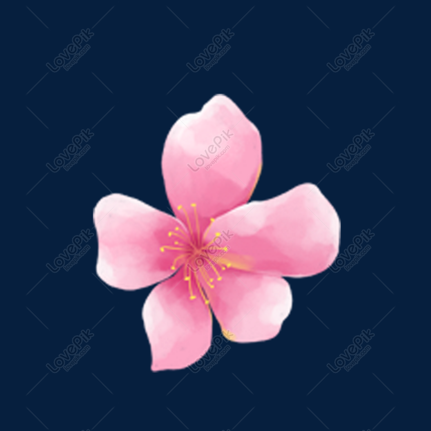 Mê hoặc bởi Hình ảnh bông hoa đào đẹp Và tình yêu của Nhật Bản