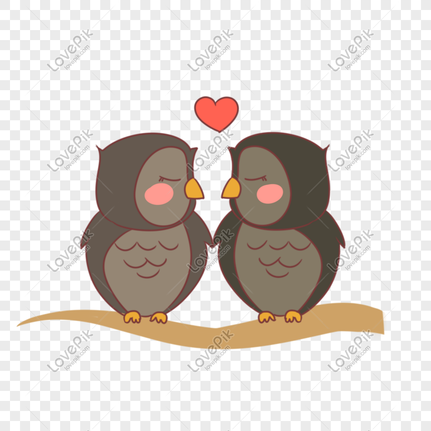 Cute Owl Couple Illustration PNG Transparent Image And Clipart Image For  Free Download - Lovepik | 611637007