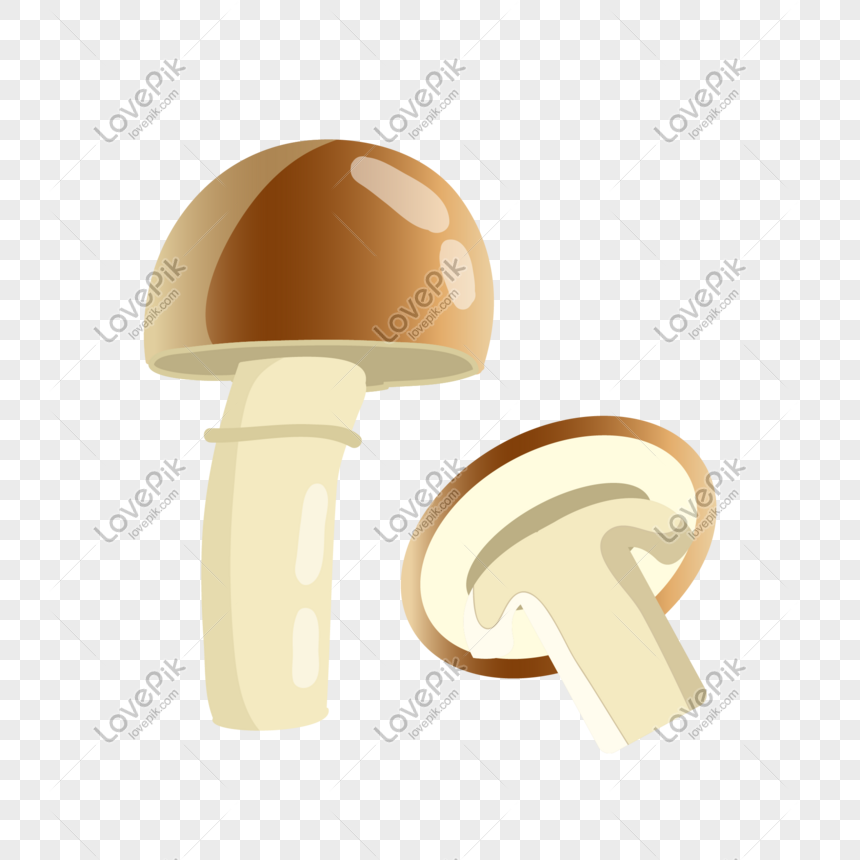 Hand Drawn Fungus Mushroom Illustration PNG Image Free Download And ...