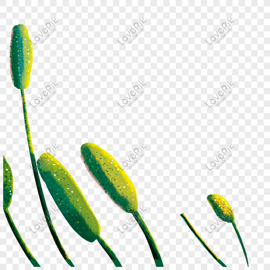 水彩の緑の雑草無料イラストイメージ グラフィックス Id Prf画像フォーマットpsd Jp Lovepik Com
