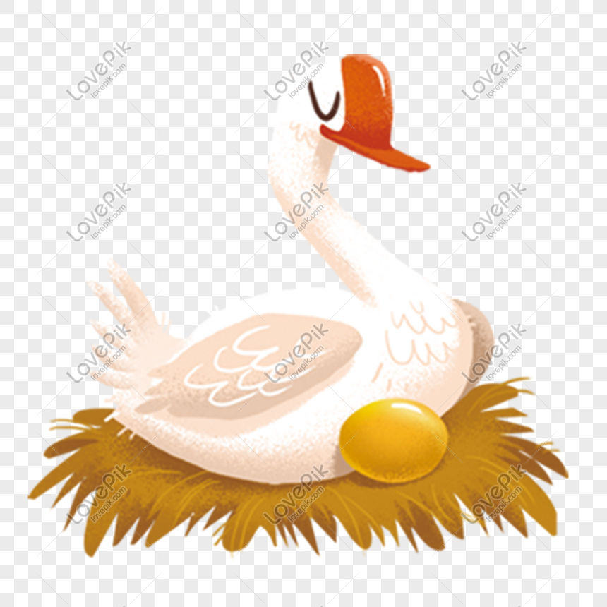 A Golden Egg In Nest With Leaves PNG Images