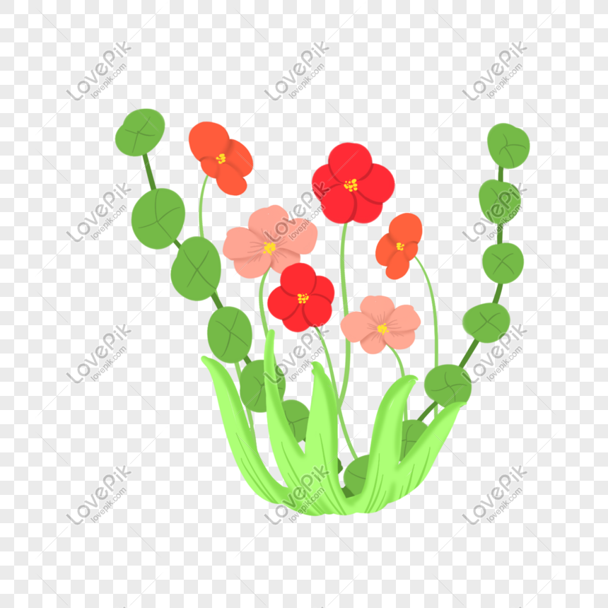 Dibujos Animados De Primavera Pequeña Ilustración De Flor Roja PNG Imágenes  Gratis - Lovepik