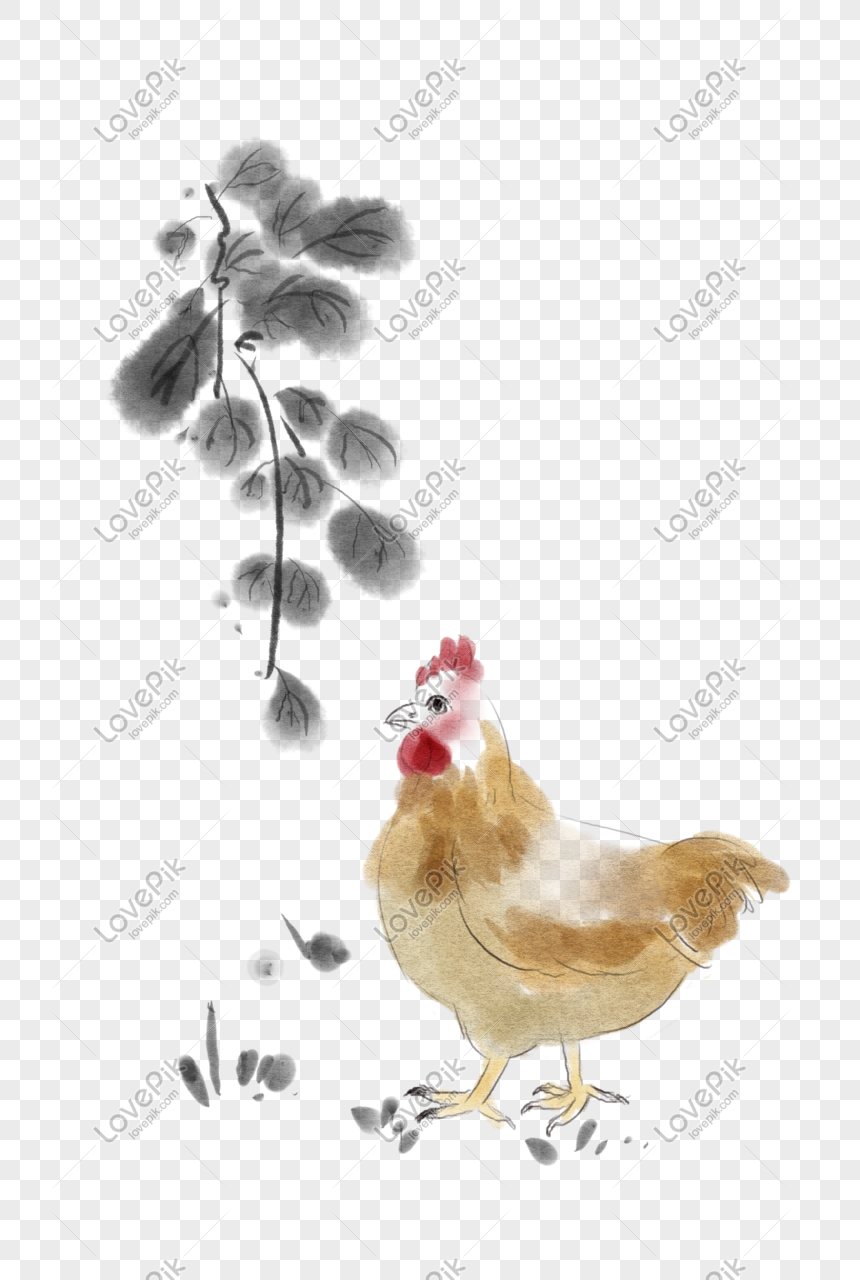 Ilustrasi Induk Ayam Tinta Png Grafik Gambar Unduh Gratis Lovepik