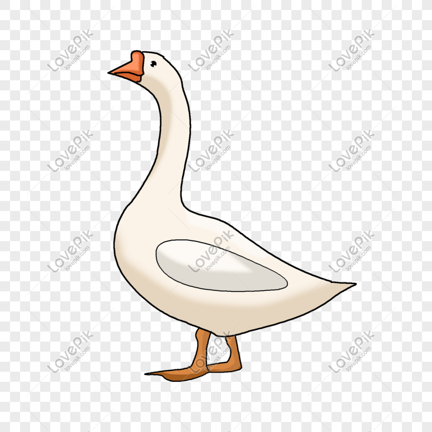 Cartoon Poultry Big Goose White Goose Walking Goose PNG Image Free Download  And Clipart Image For Free Download - Lovepik | 611707951