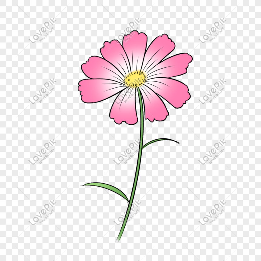 Chinese Style Hand Painted Pink Flower PNG Transparent Background ...