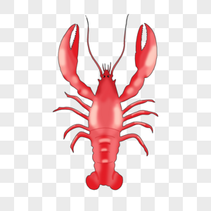 Marine Life Lobster PNG Images With Transparent Background | Free ...