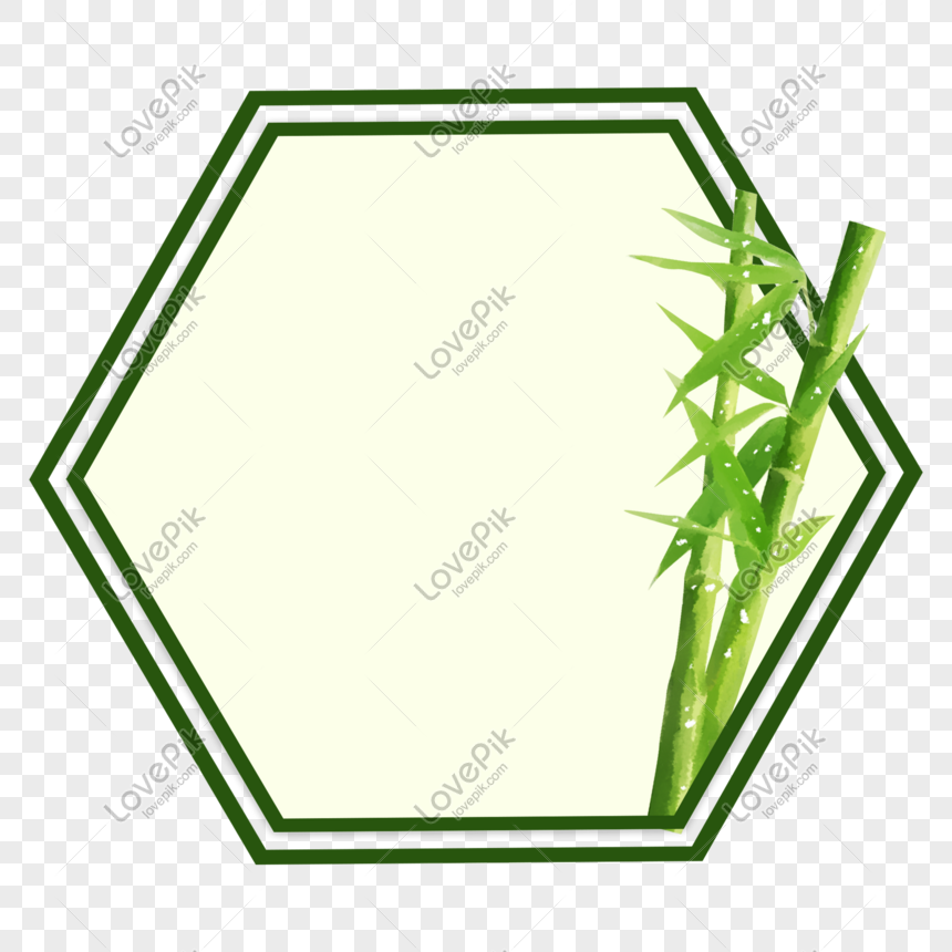 green bamboo frame
