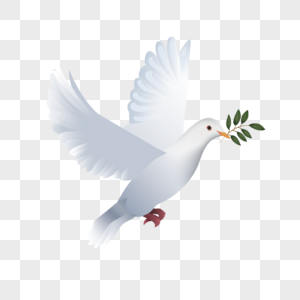 4600 Dove Of Peace Hd Photos Free Download Lovepik Com