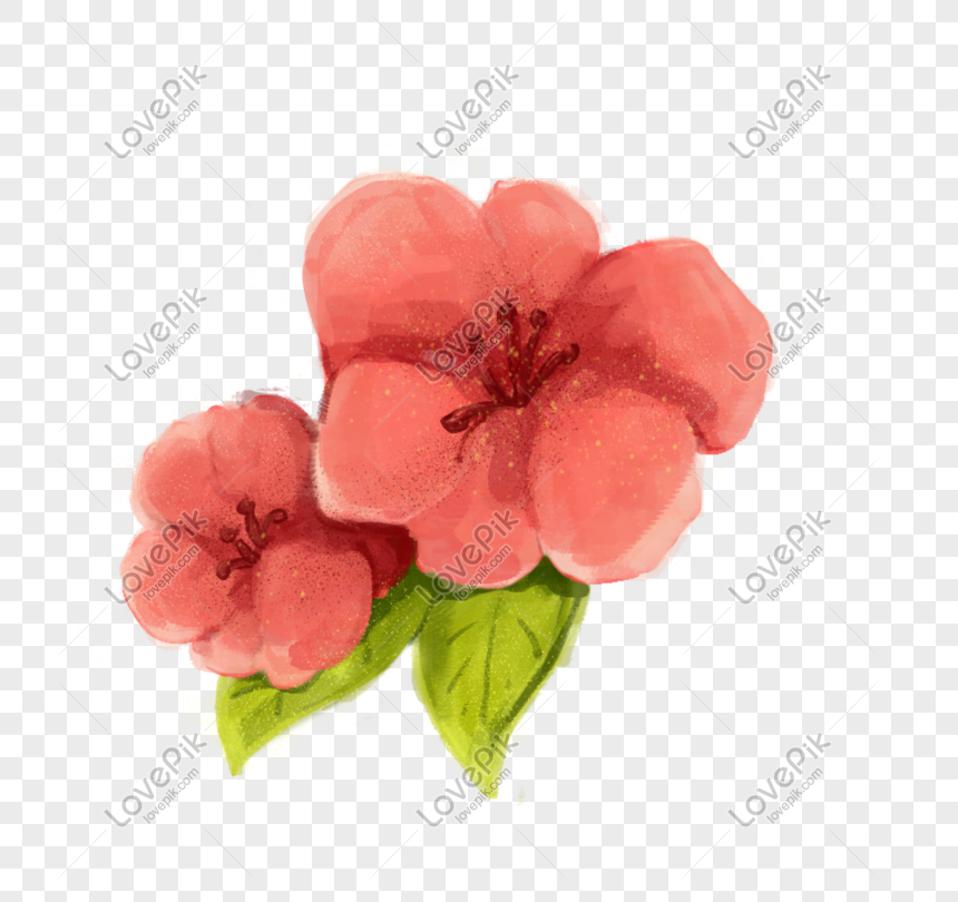 Ilustrasi Dua Bunga Sakura Yang Digambar Tangan Gambar Unduh
