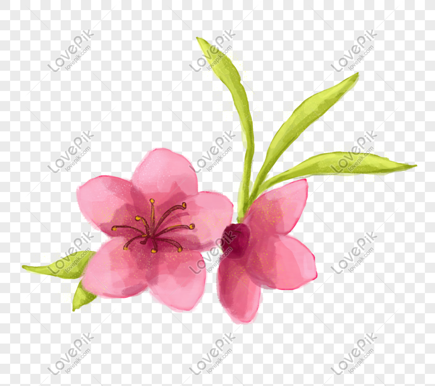 Hình ảnh hoa đào Miễn Phí: Tận hưởng vẻ đẹp của hoa đào mà không tốn bất kỳ chi phí nào với những hình ảnh hoa đào miễn phí. Tìm kiếm những hình ảnh đẹp, tươi mới và sống động nhất để trang trí desktop, điện thoại hay bất kỳ thiết bị điện tử nào mà bạn sử dụng mỗi ngày.