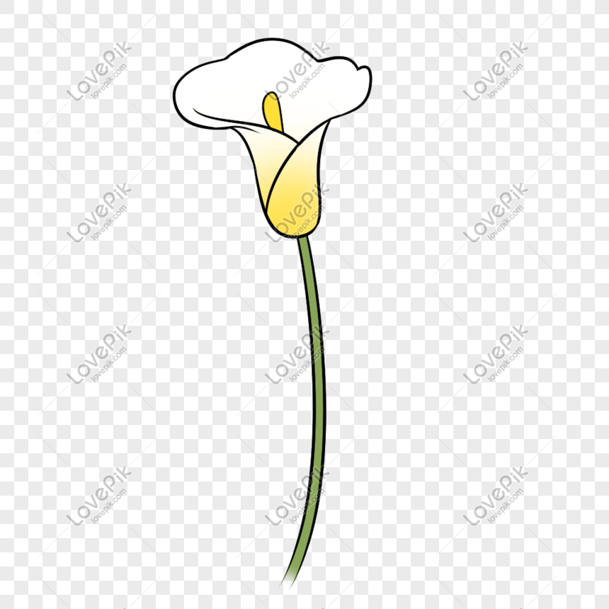 Yellow Hand Drawn Botanical Trumpet Flower PNG Free Download And ...