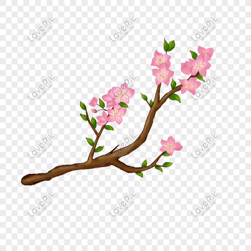 Gambar Tangan Bunga Sakura Ilustrasi Gambar Unduh Gratis