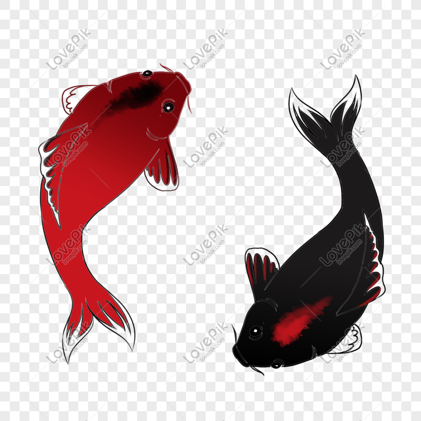 Hình ảnh Màu Nước Phong Cách Vẽ Tay Cá Koi âm Dương PNG Miễn Phí ...