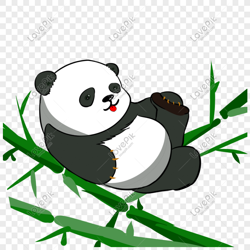 58 Gambar Hewan Panda Kartun HD Terbaru