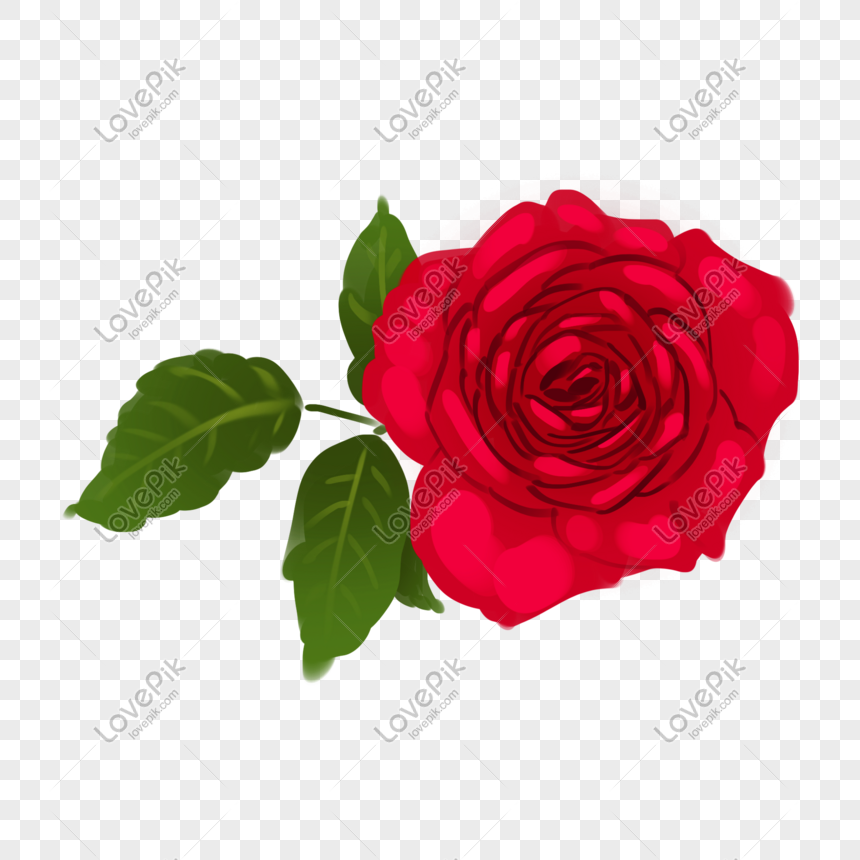 Những bông hoa hồng vẽ tay tràn đầy nét tinh tế và sáng tạo sẽ khiến bạn phải trầm trồ ngưỡng mộ. Đừng bỏ qua cơ hội để ngắm nhìn vẻ đẹp độc đáo của những bông hoa này.