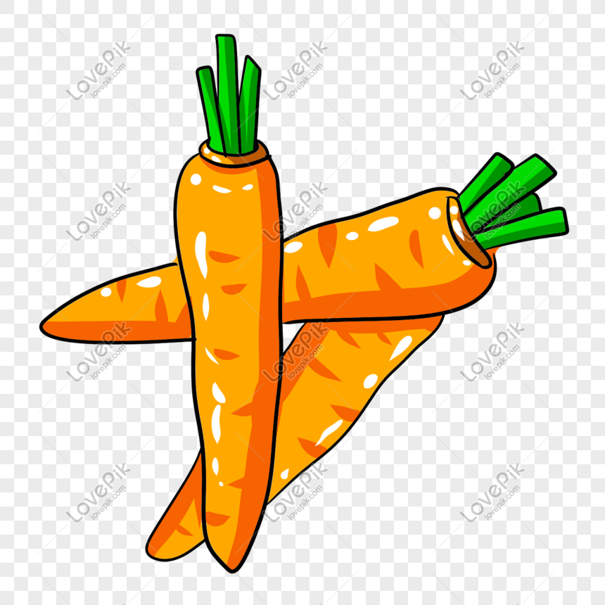 colorful hand drawn carrot food elements png image picture free download 611698808 lovepik com colorful hand drawn carrot food