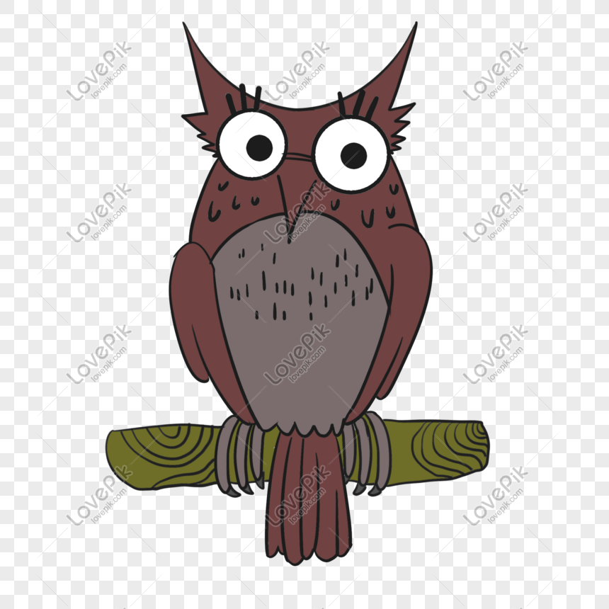 Pretty Owl Illustration PNG Image Free Download And Clipart Image For Free  Download - Lovepik | 611701961
