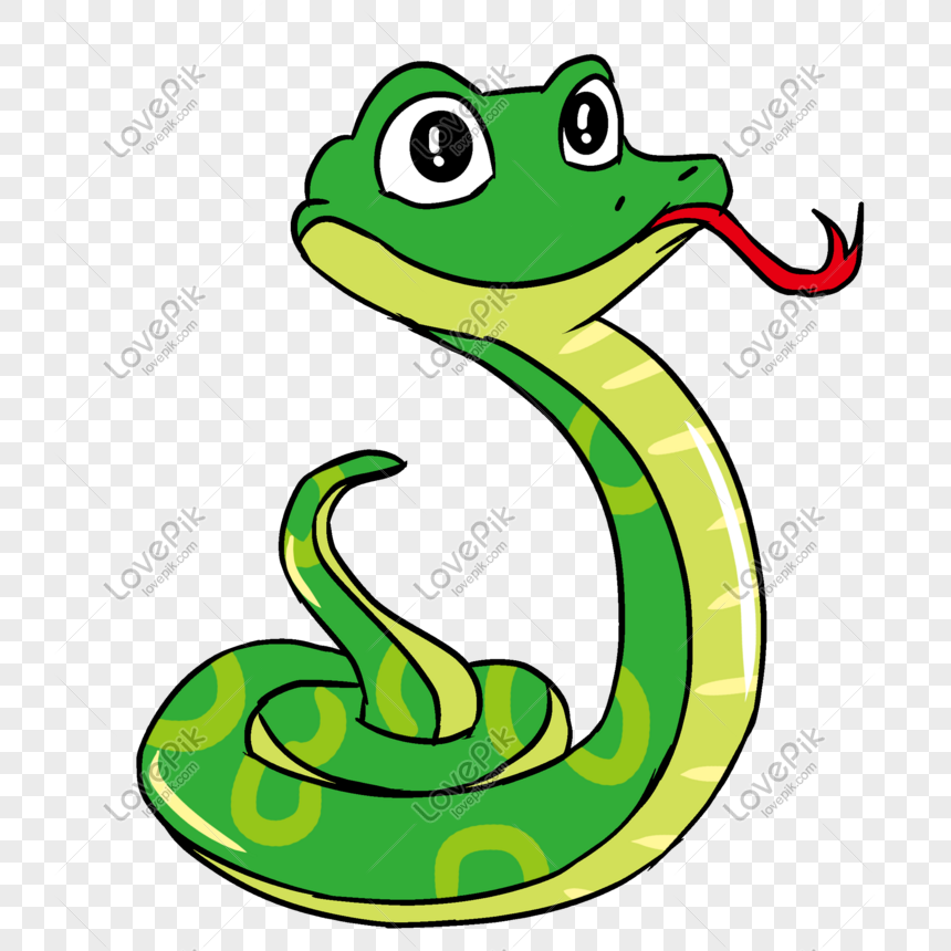 Hand Drawn Cartoon Snake Illustration PNG Transparent Image And Clipart  Image For Free Download - Lovepik | 611706597