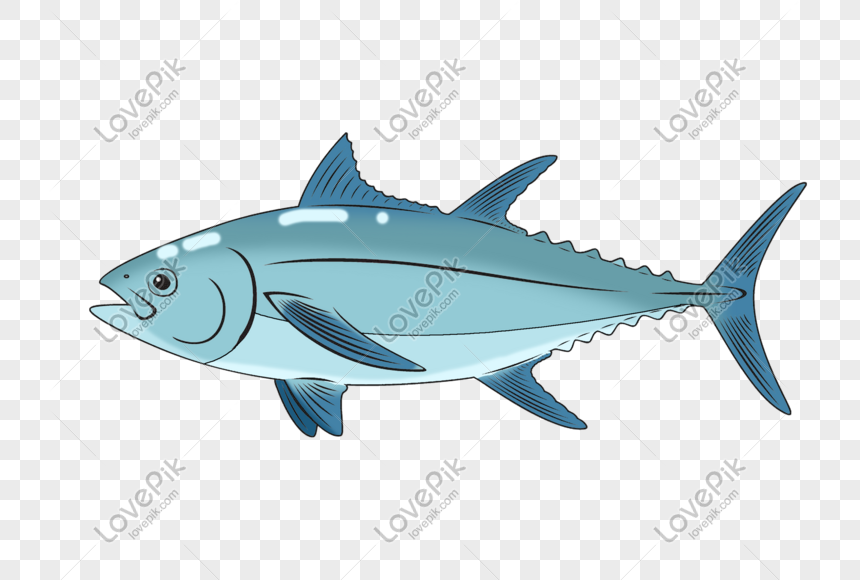 15+ Trend Terbaru Ilustrasi Ikan Png - Amanda T. Ayala