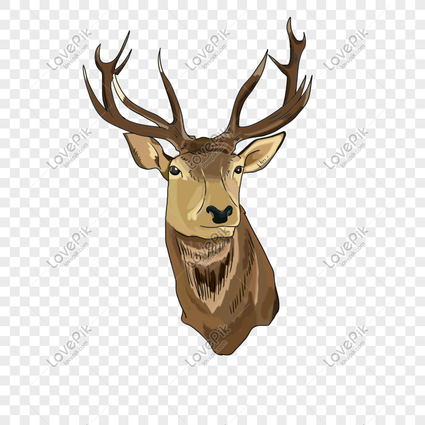 Hand Drawn Illustration Animal Deer Psd Source File PNG White ...