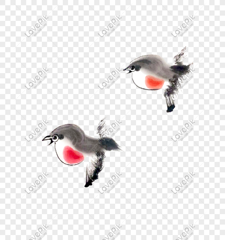 Photo de Oiseau Volant Joli Oiseau Encre Rouge Ventre Png, paysage,  architecture classique, avant toit Graphique images free download - Lovepik