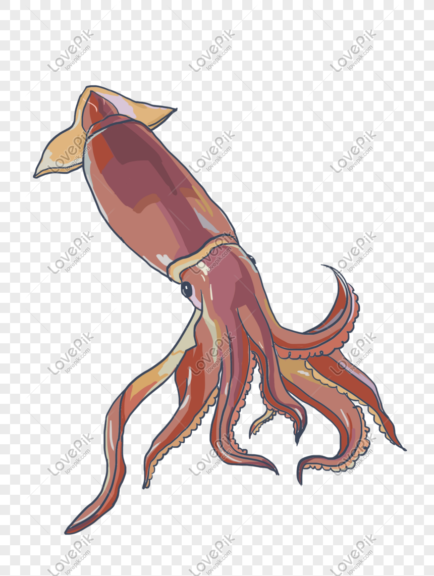 Ilustrasi Sotong Makanan Laut Digambar Tangan Gambar Unduh