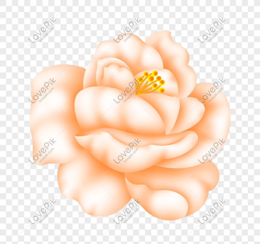 Elegant flowers bouquet vector 01 free download