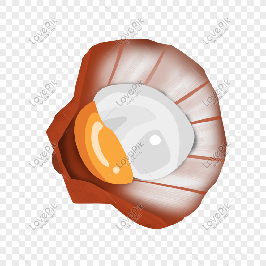 scallop shape clipart