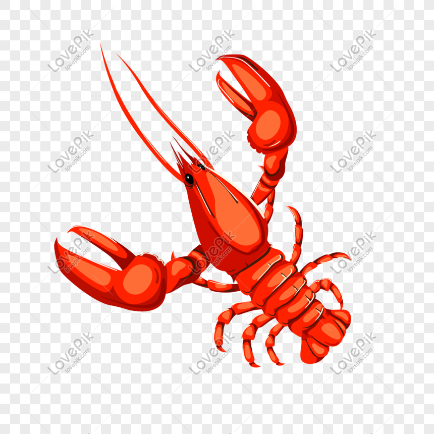 Черно красный рак. Нарисованный рачёк. Морепродукты мультяшные. Crayfish vector. Crayfish PNG.