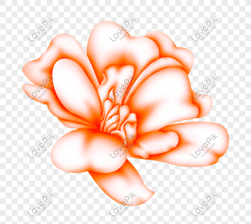 Fondo De Flores Claras Decoración De Flores Oscuras PNG Imágenes Gratis -  Lovepik
