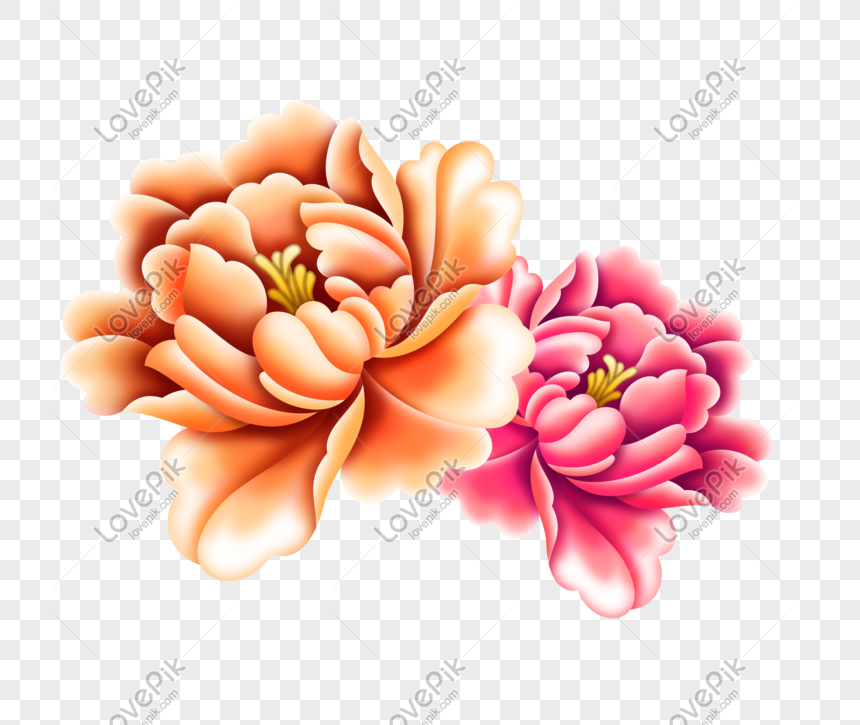 Bonita Combinación De Flores Rosadas PNG Imágenes Gratis - Lovepik
